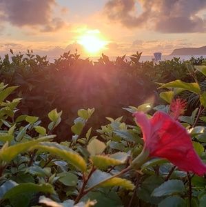Meet your Posher, Gabriela